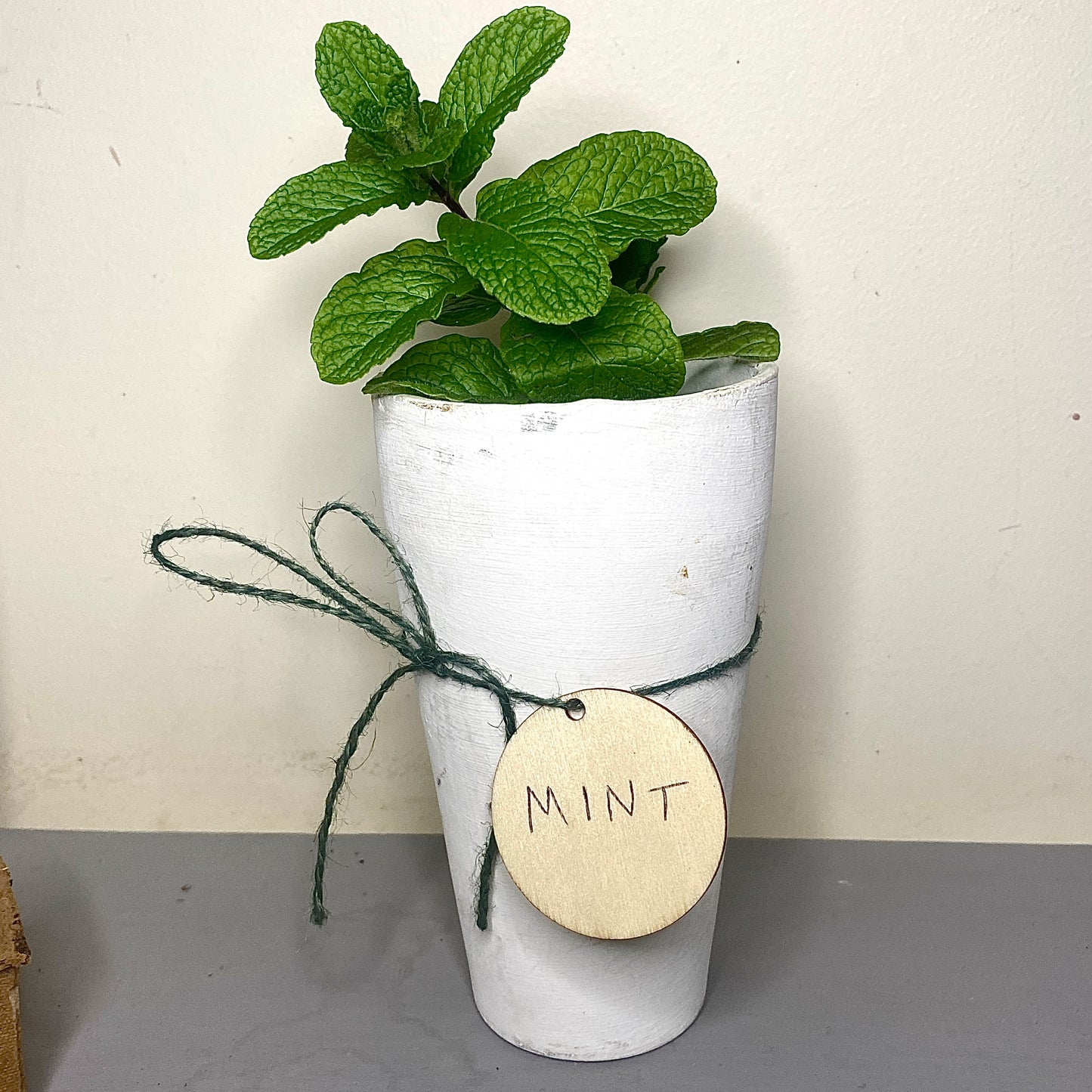 Grow Your Own Greenery - Gift Pack - Le Botanist