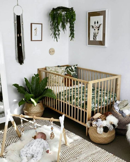 Plants You Need to Have in Your Baby Nursery and How They Help