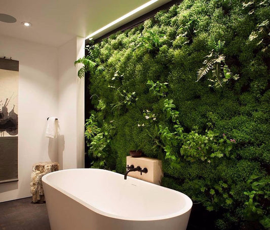 Top 5 plants for your bathroom