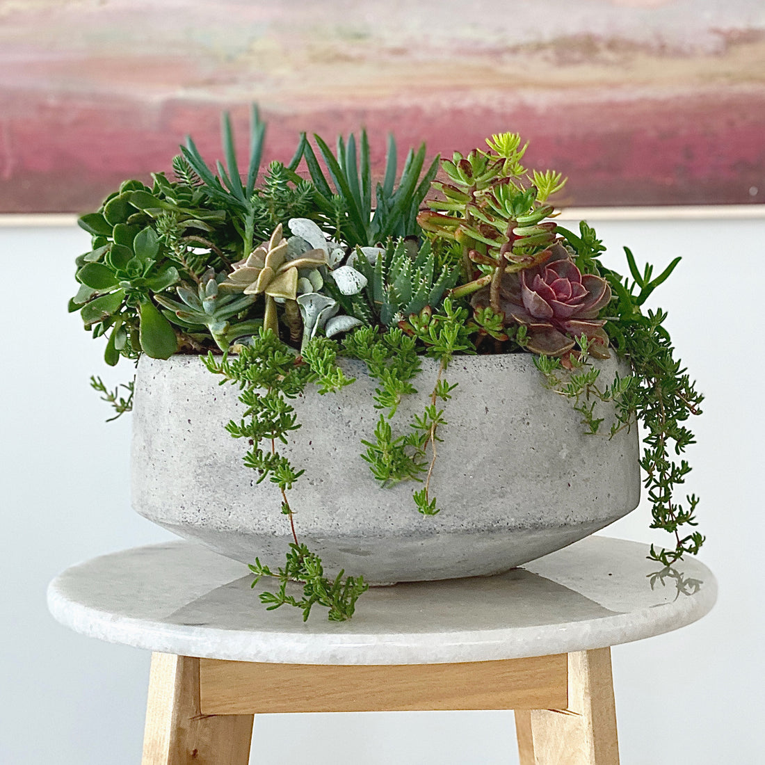 How to care for your Succulent Bowl
