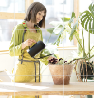 The Top Five Watering Tips for Happy and Healthy Indoor Plants